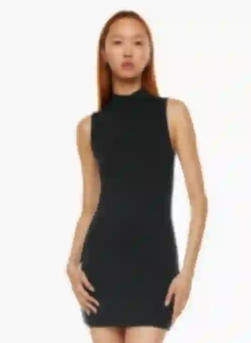 Rodeo Aritzia - contour mockneck mini dress Rodeo Aritzia - contour mockneck mini dress