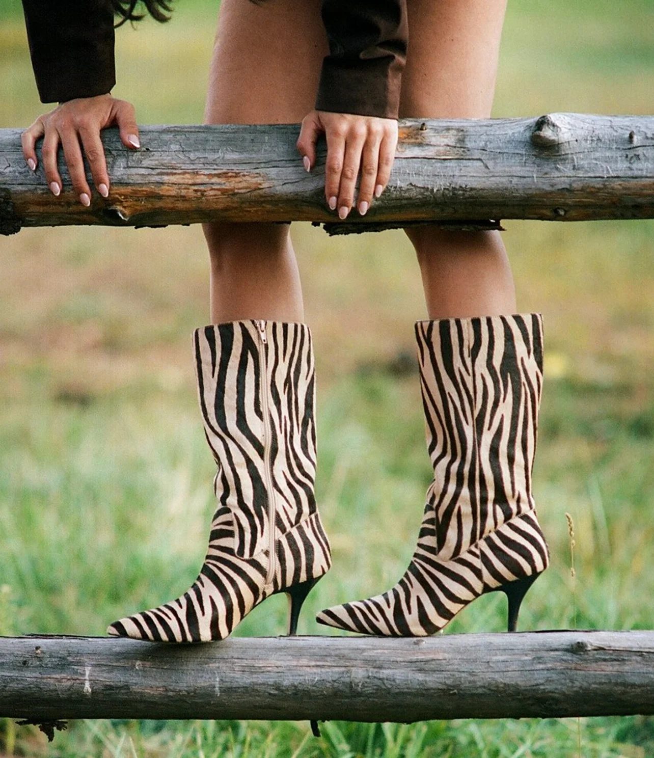 Rodeo – Gianni Bini - Gianni Bini x Sydney Silverman Hasley Zebra