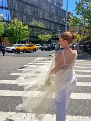 Rodeo  ZARA - Sheer Tulle Dress