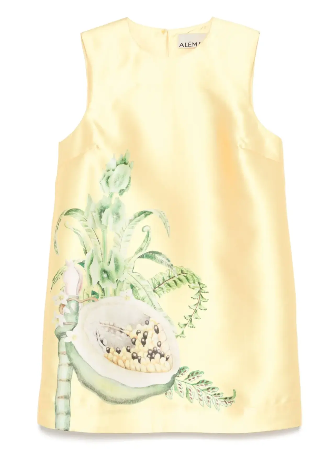 Rodeo  Alemais - Sol mini dress